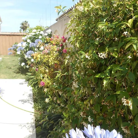 Bel 3 Jardin 200 M Au Calme Appartamento *
